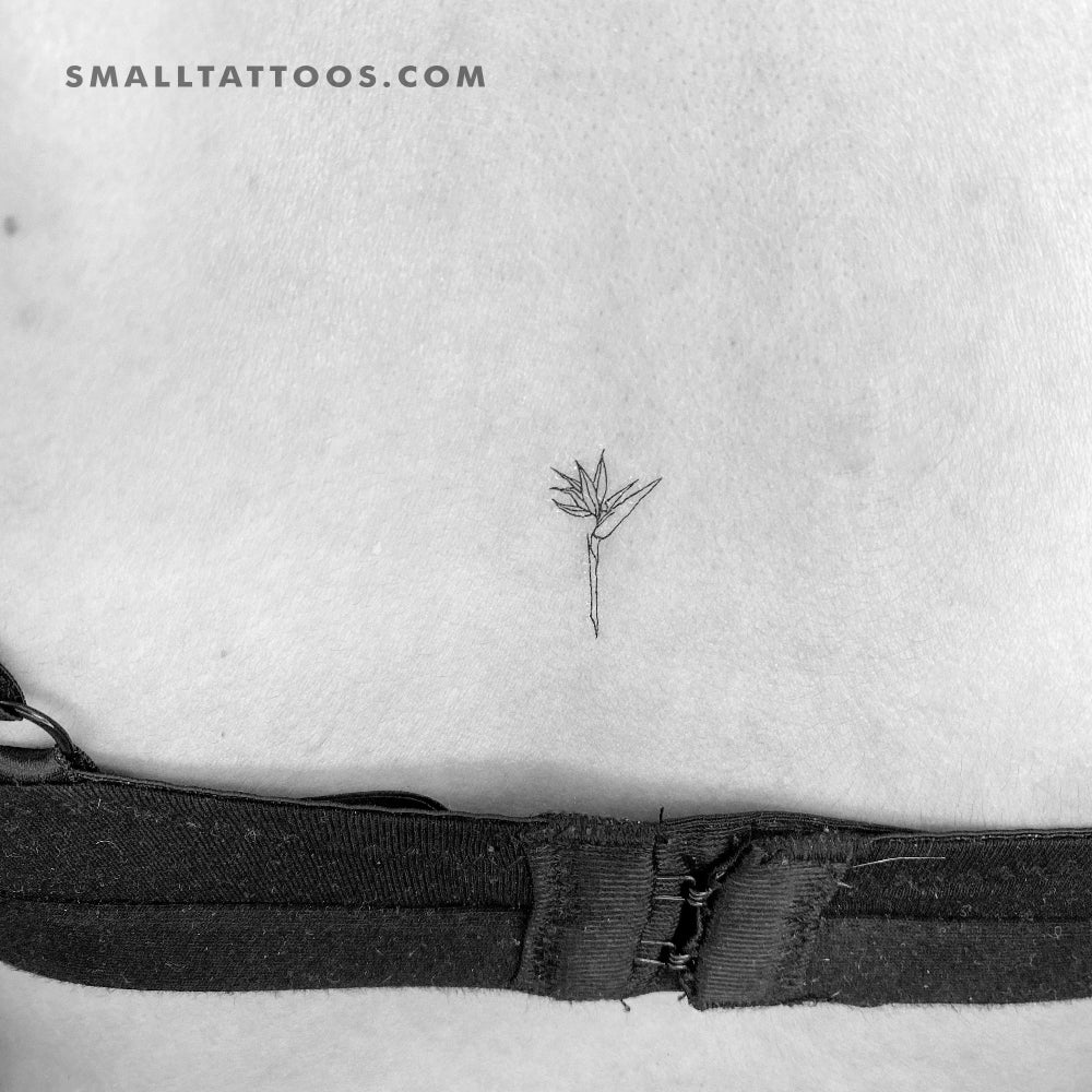 Strelitzia Bird Of Paradise Temporary Tattoo (Set of 3)
