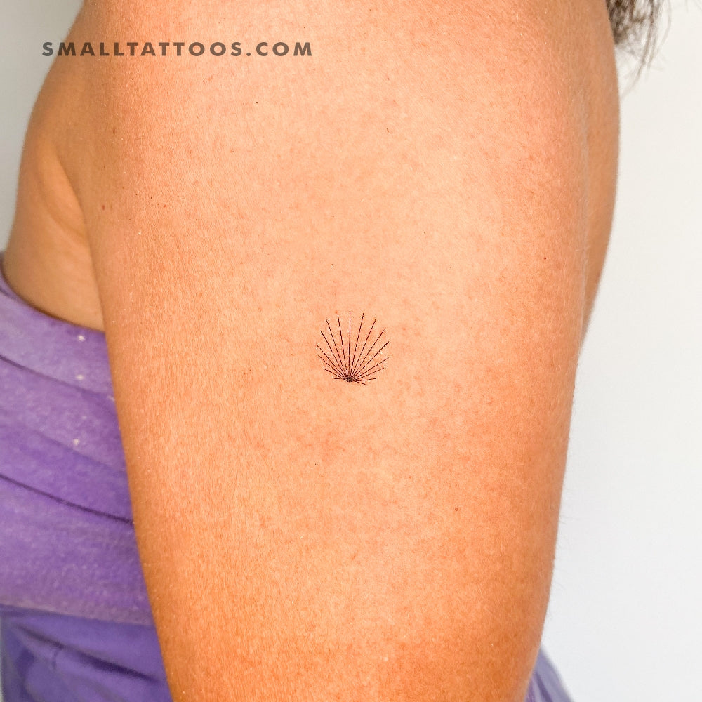 Tatuaje temporal de concha minimalista diminuta - Juego de 3