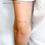 Pura Vida Temporary Tattoo - Set of 3