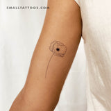 Fine Line Poppy Temporary Tattoo (Set of 3)