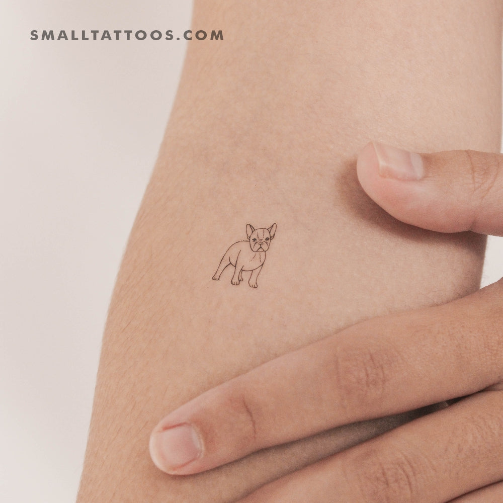 Tatuaje temporal de bulldog francés pequeño (juego de 3)