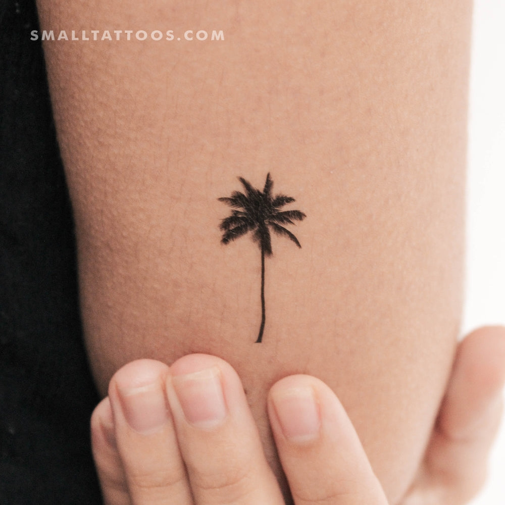 Tatuaje temporal de palmera (juego de 3)