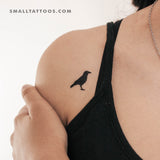 Raven Temporary Tattoo (Set of 3)