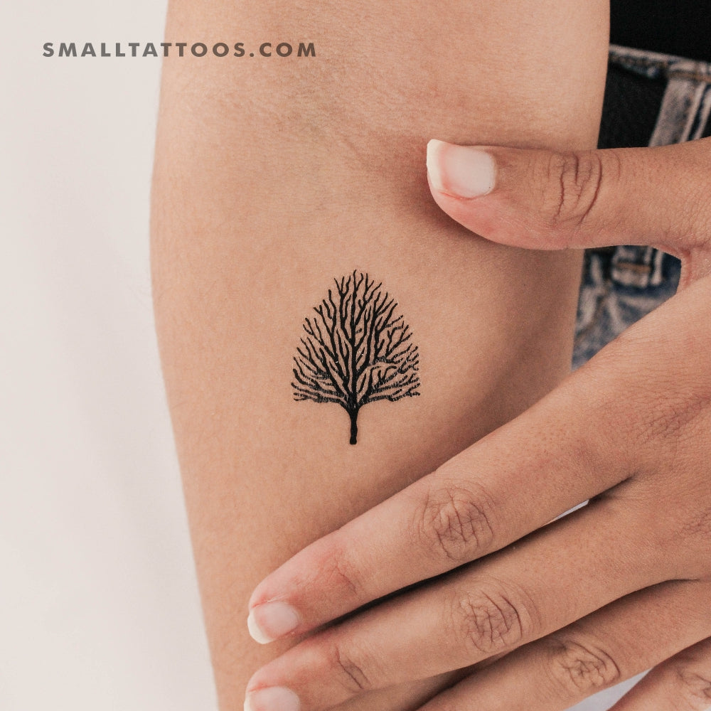 Tatuaje temporal de árbol sin hojas (juego de 3)