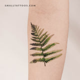 Fern Frond By Ann Lilya Temporary Tattoo (Set of 3)