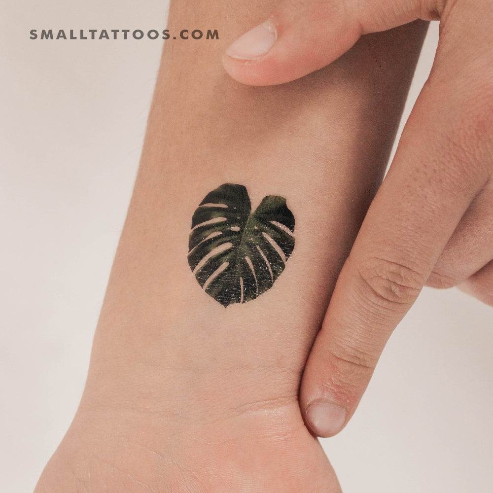 Tatuaje temporal de hoja de Monstera Deliciosa (juego de 3)