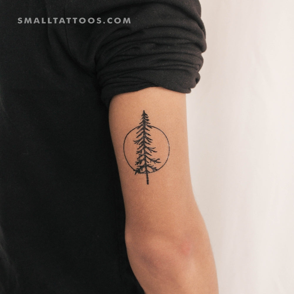 Tatuaje temporal de pino y círculo (juego de 3)