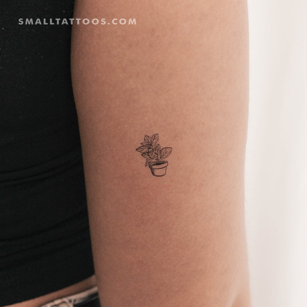 House Plant Temporary Tattoo (Set of 3)