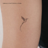 Long-tailed Sylph Hummingbird Temporary Tattoo (Set of 3)