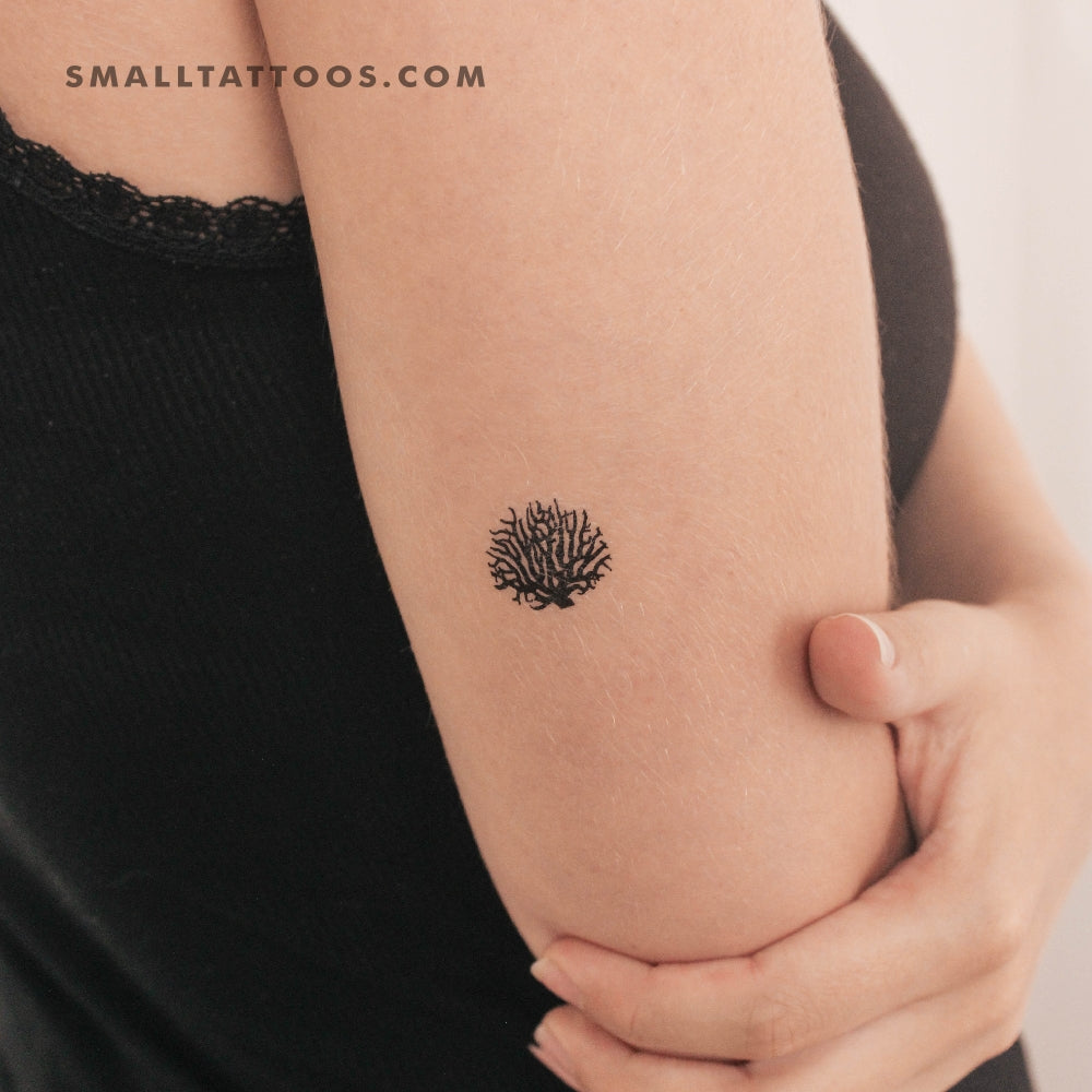 Tatuaje temporal de coral (juego de 3)