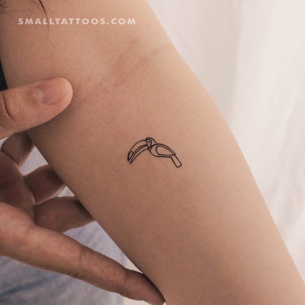 Tatuaje temporal minimalista de tucán (juego de 3)