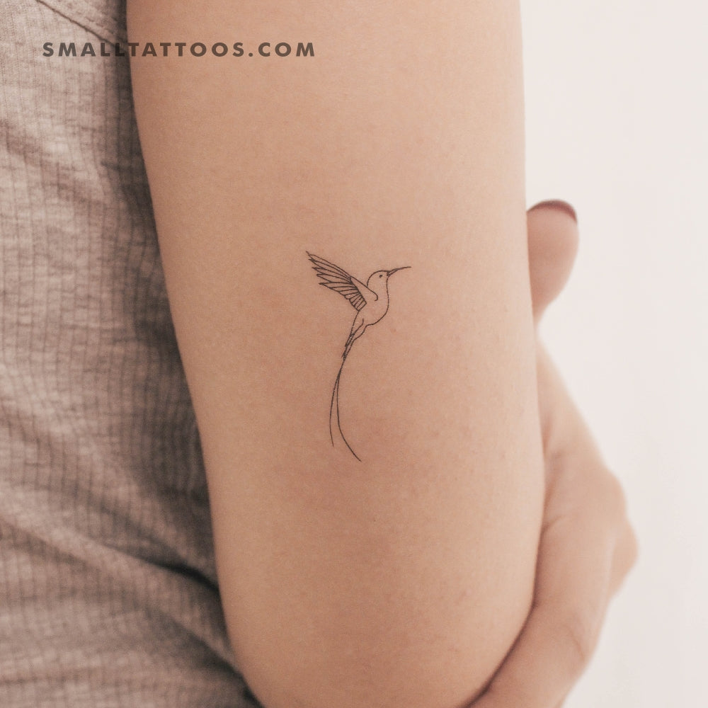 Tatuaje temporal de sílfide de cola larga (juego de 3)