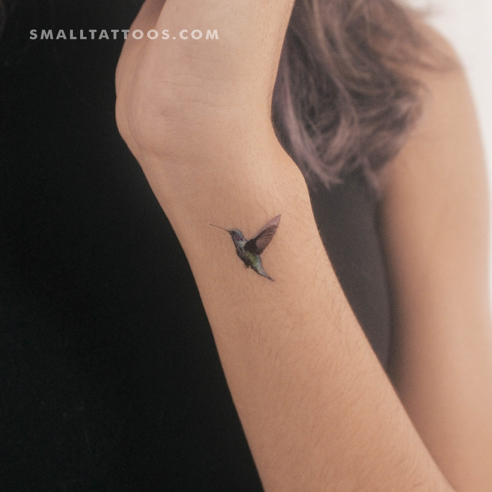 Tatuaje temporal de colibrí realista (juego de 3)