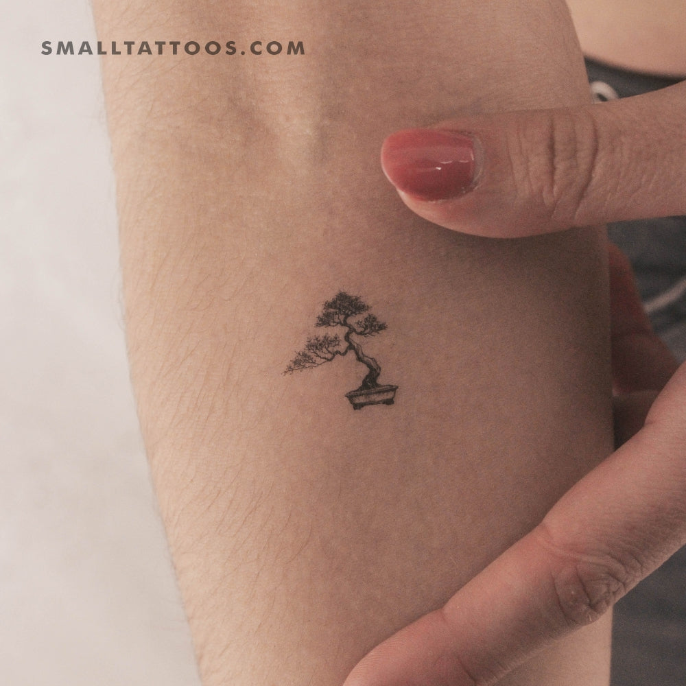Tatuaje temporal de bonsái (juego de 3)