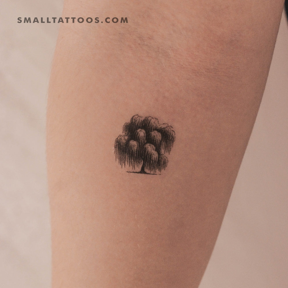 Tatuaje temporal de sauce llorón (juego de 3)