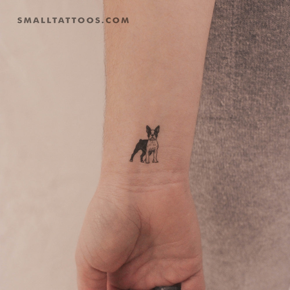 Tatuaje temporal de Boston Terrier (juego de 3)