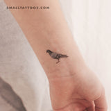 Rock Pigeon Temporary Tattoo (Set of 3)