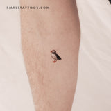 Puffin Temporary Tattoo (Set of 3)