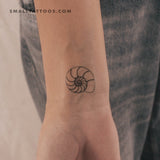 Ammonite Shell Temporary Tattoo (Set of 3)