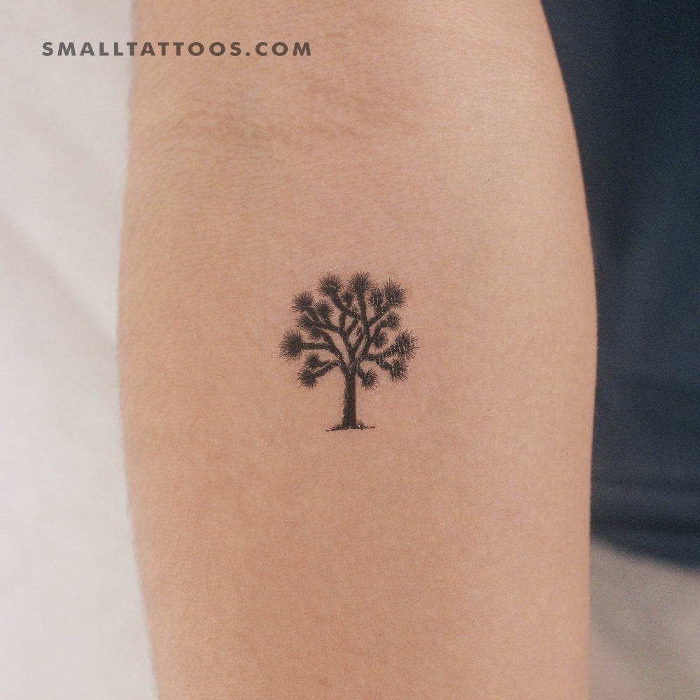 Tatuaje temporal de árbol de Josué (juego de 3)