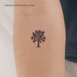 Joshua Tree Temporary Tattoo (Set of 3)