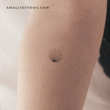Tiny Minimalist Shell Temporary Tattoo - Set of 3