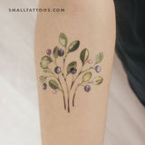 Blueberries By Ann Lilya Temporary Tattoo (Set of 3)