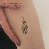 Small Olive Branch By Ann Lilya Temporary Tattoo (Set of 3)