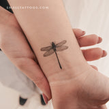 Illustrative Dragonfly Temporary Tattoo (Set of 3)