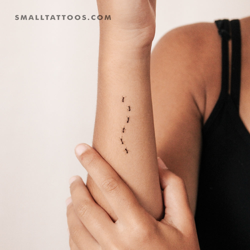 Ant Stock Temporary Tattoo (Set of 3)