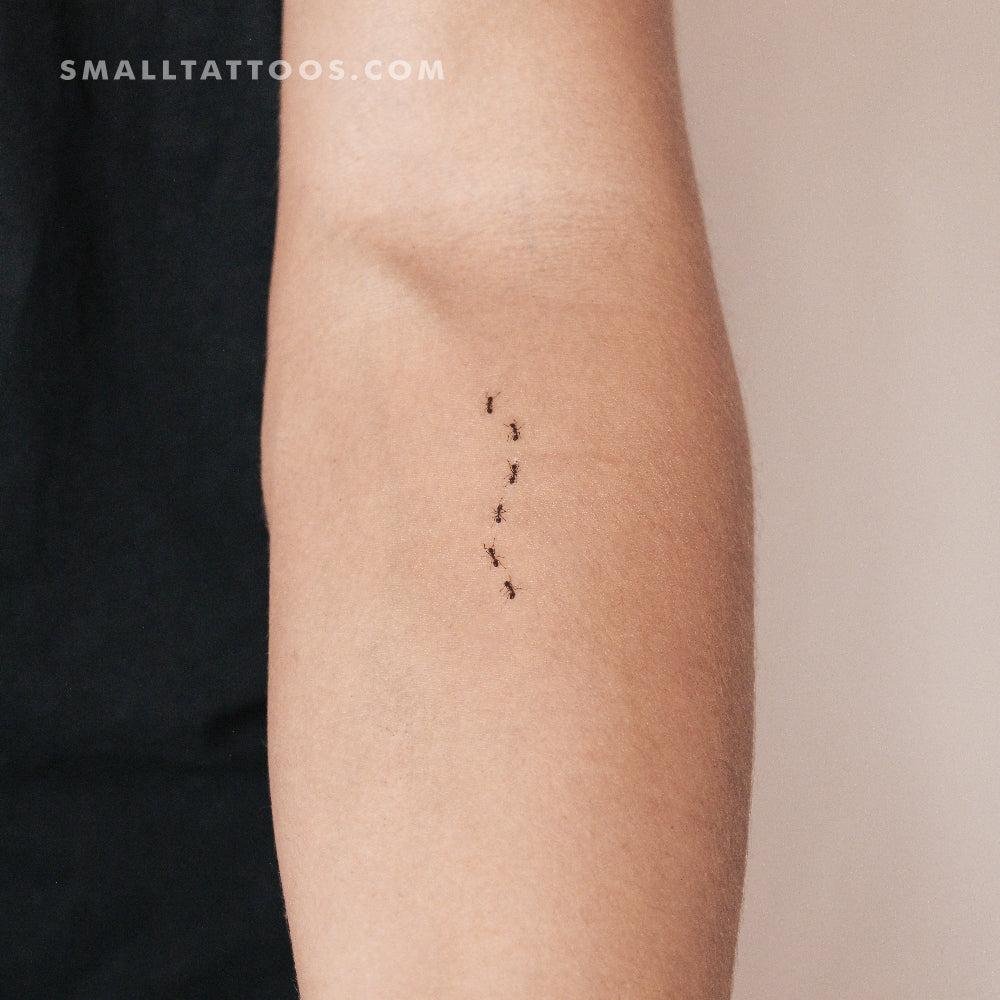 Ant Stock Temporary Tattoo (Set of 3)