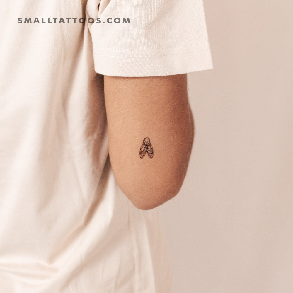 Tatuaje temporal de cigarra (juego de 3)