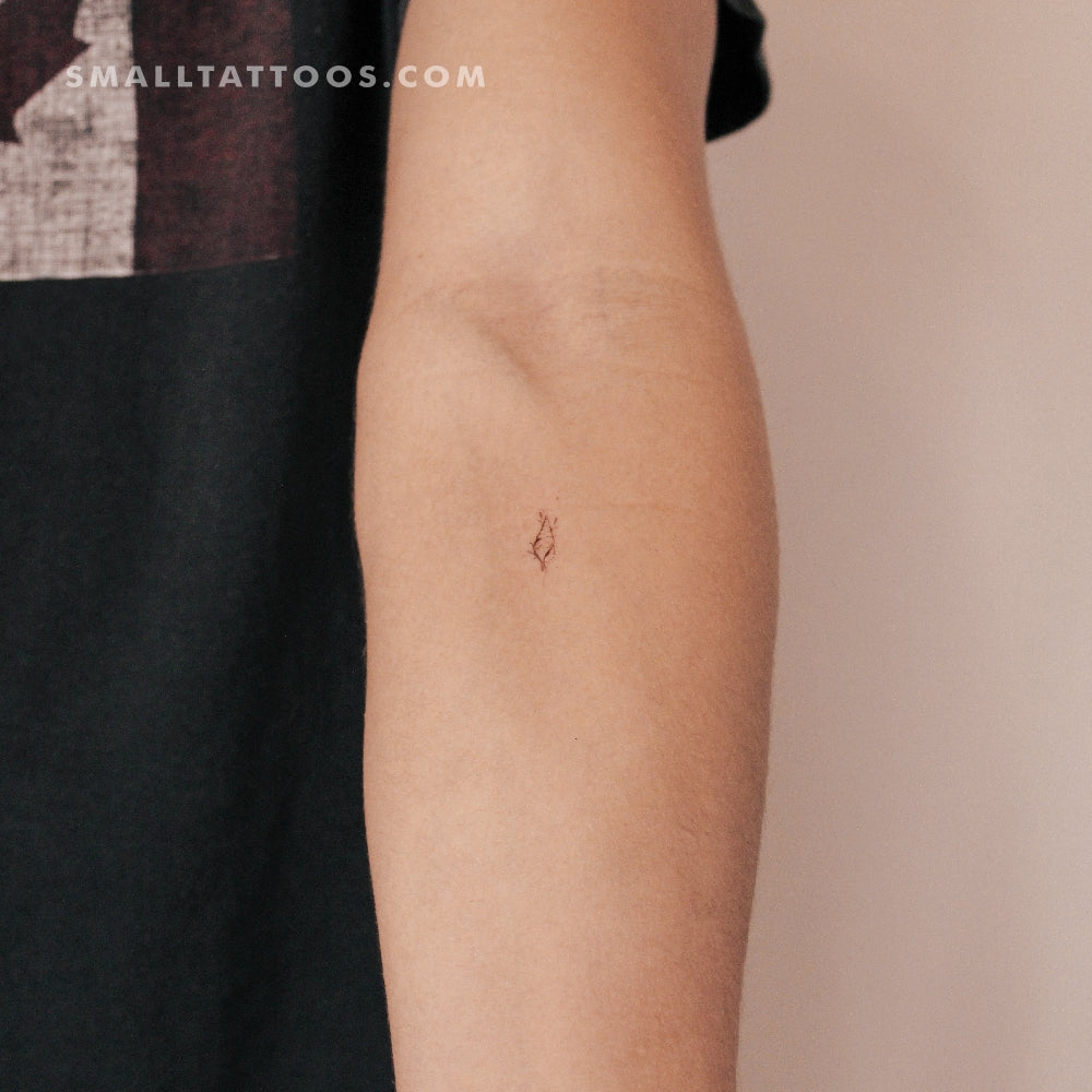 Tulip Shell By Stefano Mazza Temporary Tattoo (Set of 3)