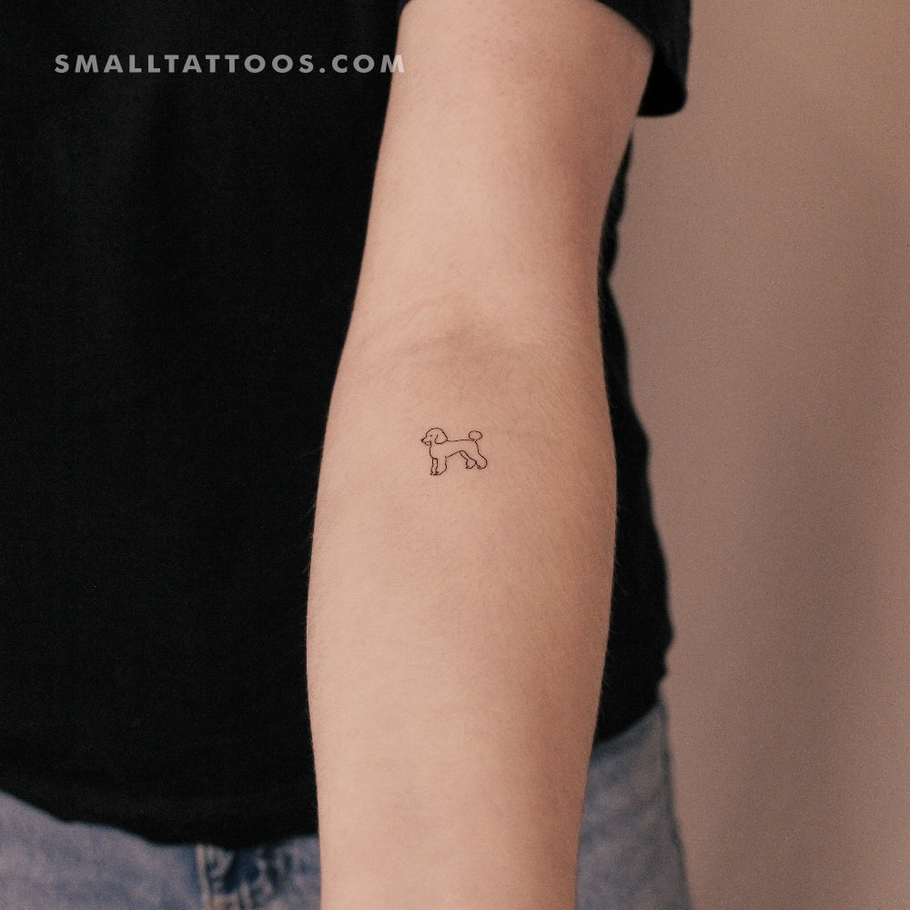 Tatuaje temporal de caniche pequeño (juego de 3)