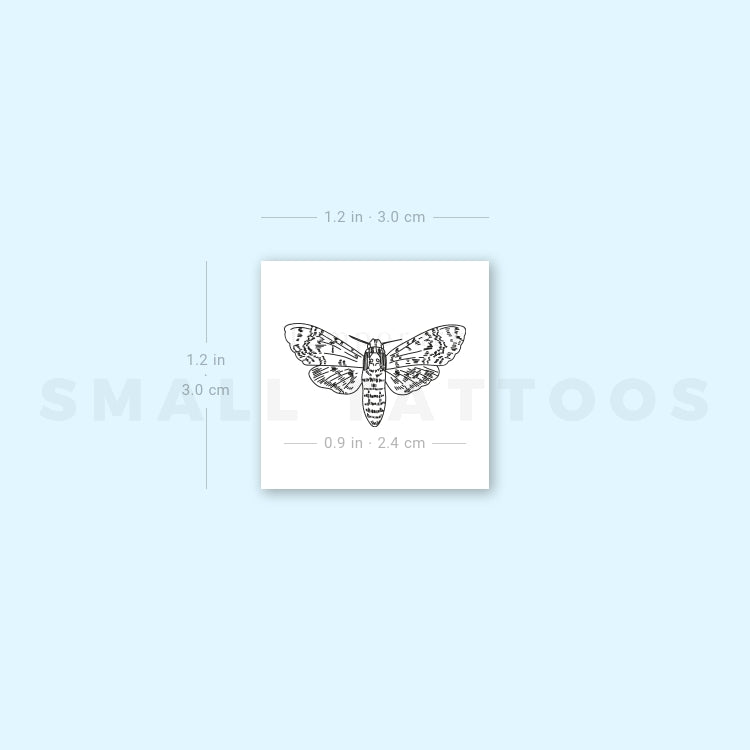 Small Moth Temporary Tattoo (Set of 3)