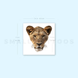 Lioness Temporary Tattoo (Set of 3)