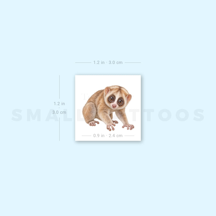 Baby Slow Loris Temporary Tattoo (Set of 3)