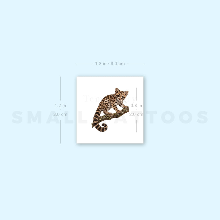 Margay Temporary Tattoo (Set of 3)
