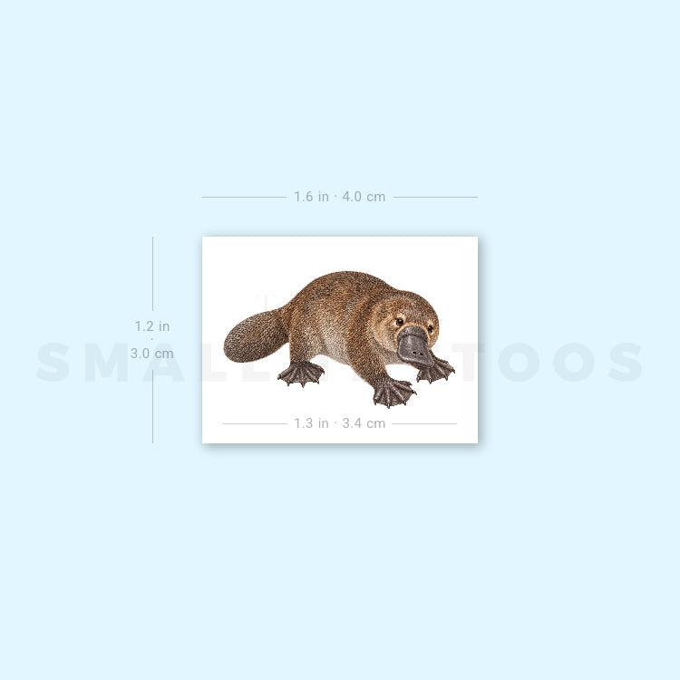 Platypus Temporary Tattoo (Set of 3)