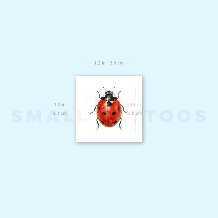 Watercolor Ladybug Temporary Tattoo (Set of 3)