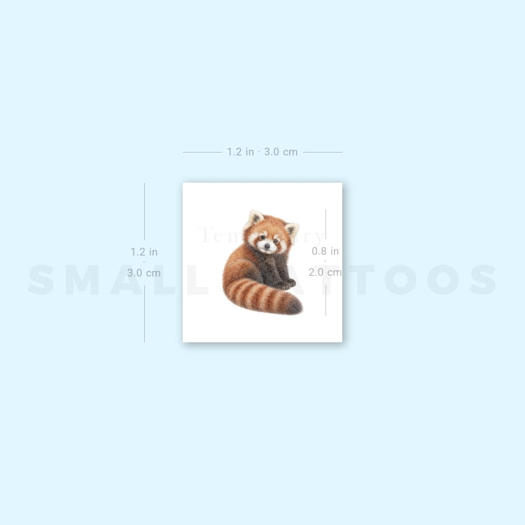 Baby Red Panda Temporary Tattoo (Set of 3)