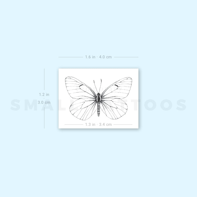 Aporia Crataegi Butterfly Temporary Tattoo (Set of 3)