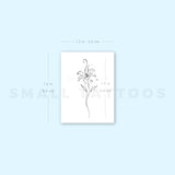 Lily Stargazer By Stefano Mazza Temporary Tattoo (Set of 3)