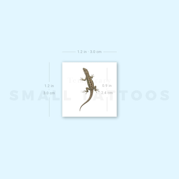 Lizard Temporary Tattoo (Set of 3)