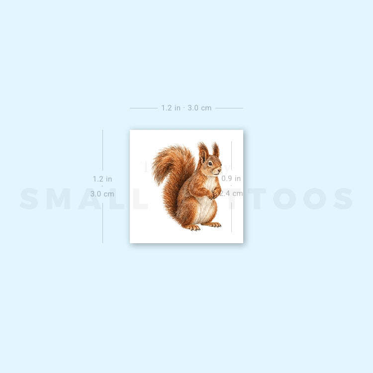 Watercolor Squirrel Temporary Tattoo (Set of 3)