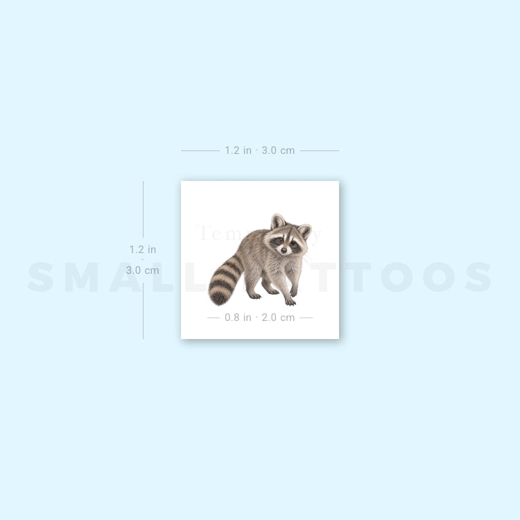 Raccoon Temporary Tattoo (Set of 3)