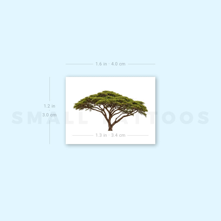 Acacia Temporary Tattoo (Set of 3)