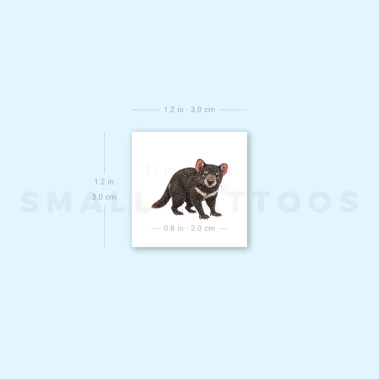 Tasmanian Devil Temporary Tattoo (Set of 3)