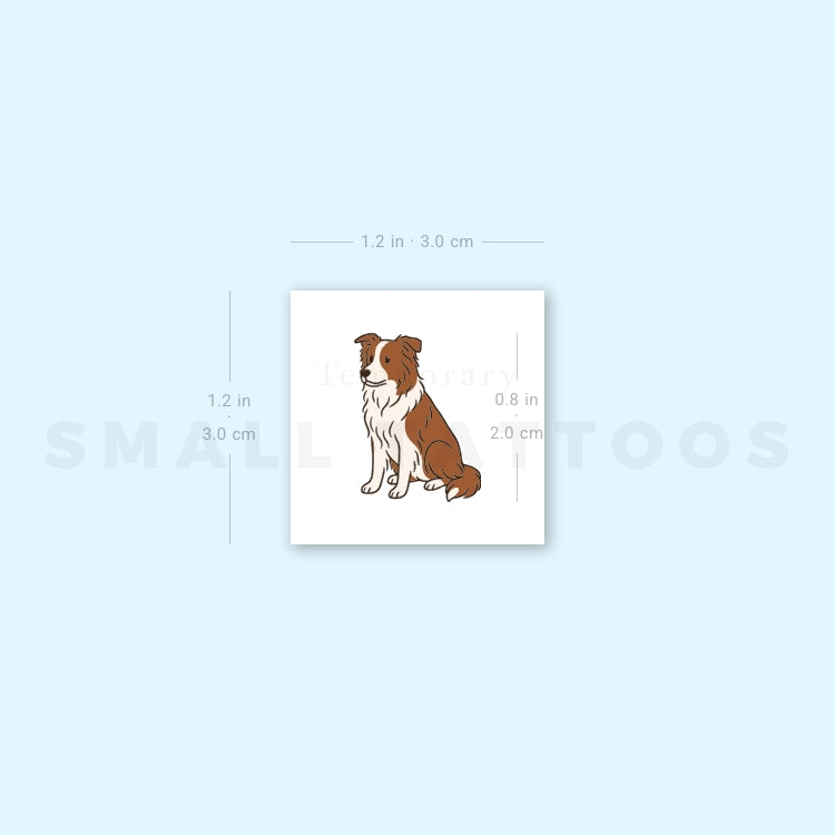 Tatuaje temporal de border collie color chocolate (juego de 3)