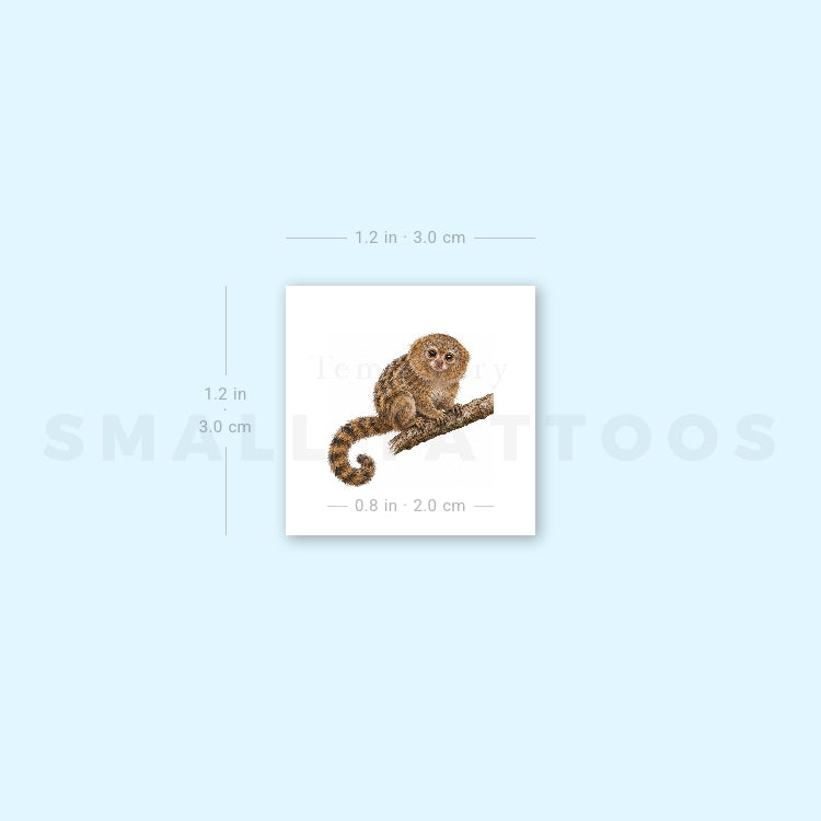 Pygmy Marmoset Temporary Tattoo (Set of 3)